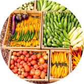 165 cultivateur numerique